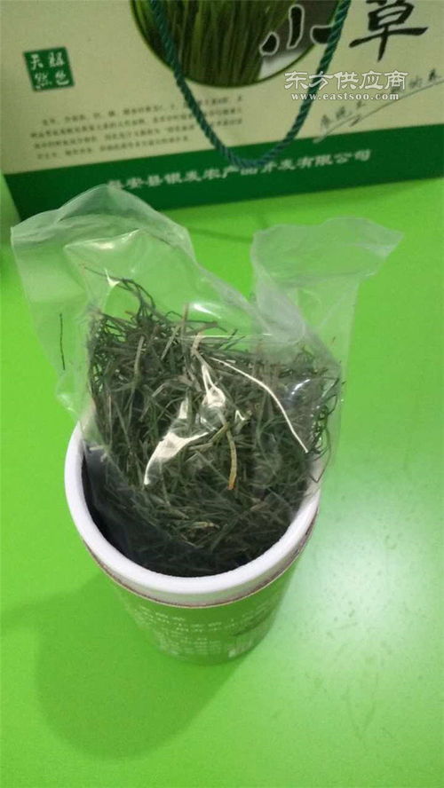 养生麦苗茶 银发食品 专业可靠 养生麦苗茶厂家图片